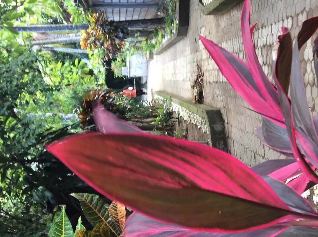 Bali Guest Villas Legian  Holiday park Legian (Bali)